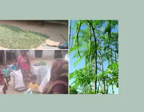 उमरिया जिले के आदिवासी अंचल की महिलाओं