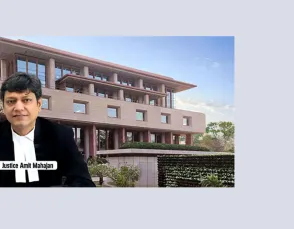 दिल्ली हाईकोर्ट : ससुराल में यौन