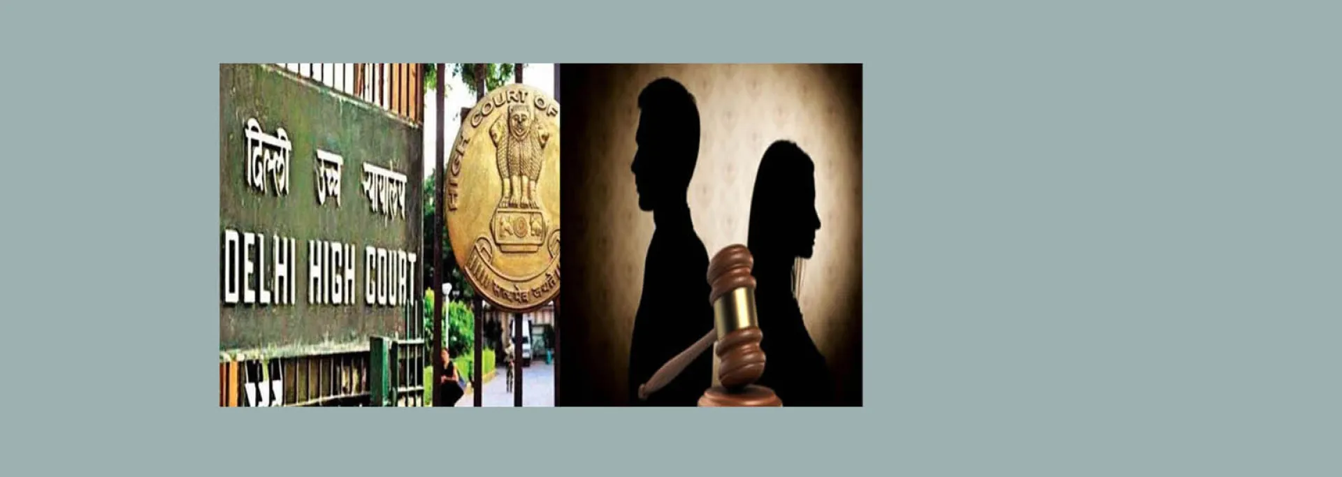  दिल्ली हाईकोर्ट : पत्नी के अवैध संबंधों को साबित करना जरूरी