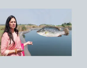 भाविनी  झा : मल्टीनेशनल कंपनी की नौकरी