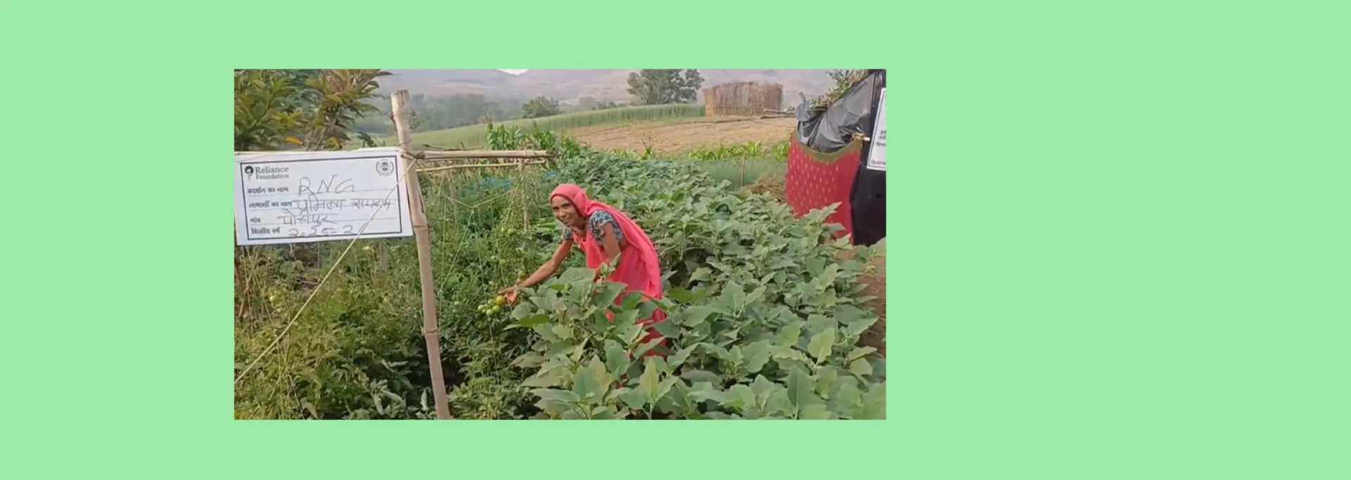 प्रमिला सायदाम - मुर्गी पालन और