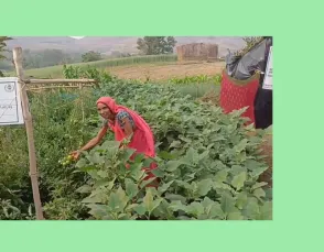 प्रमिला सायदाम - मुर्गी पालन और