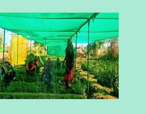 उषा ने खेती और डेयरी से बदली किस्मत, सालाना कमा रहीं 6 लाख