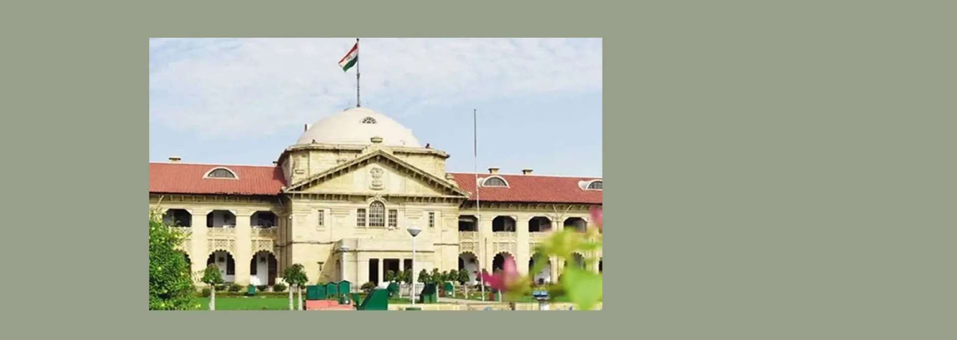 इलाहाबाद हाईकोर्ट :  पति की मृत्यु के बाद एकतरफा