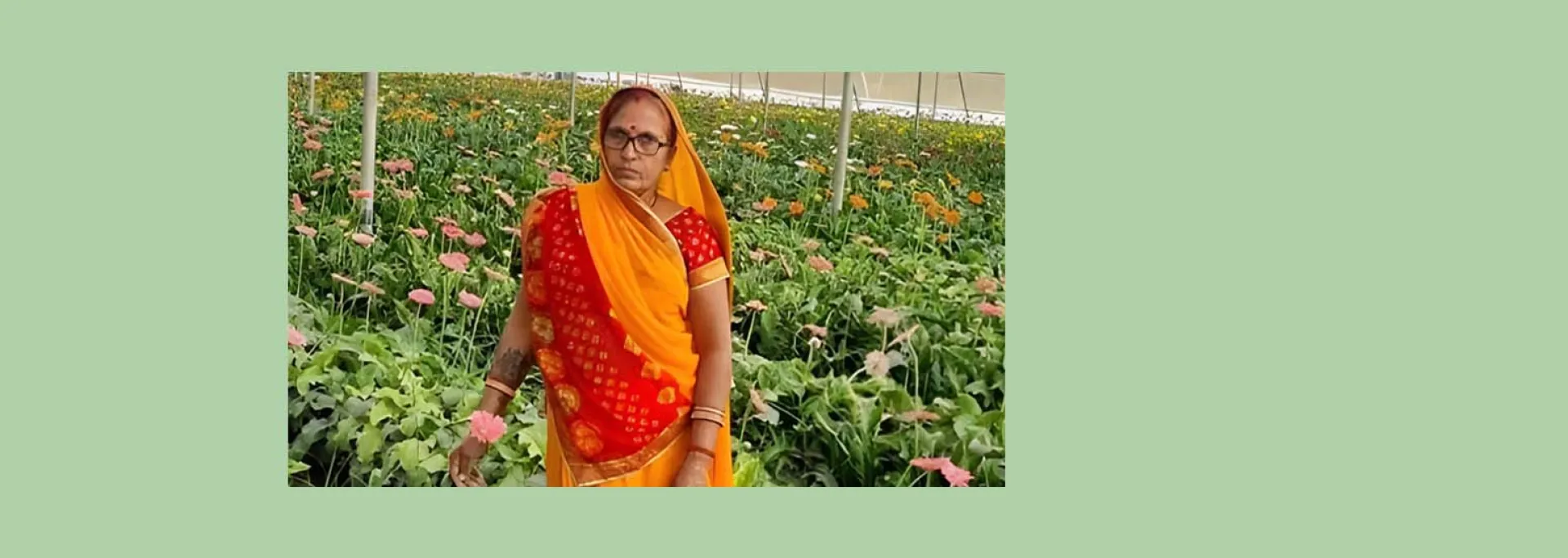 फूलो की खेती से लाखो की कमाई कर रही लक्ष्मीबाई