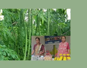 खंडवा की महिलाओं ने सहजन  से खड़ा किया लाखों का कारोबार